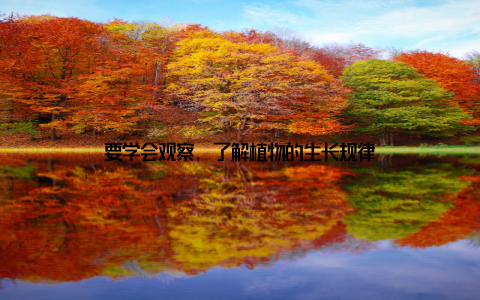 要学会观察, 了解植物的生长规律