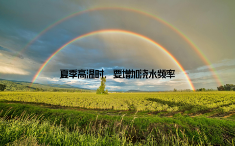 夏季高温时, 要增加浇水频率