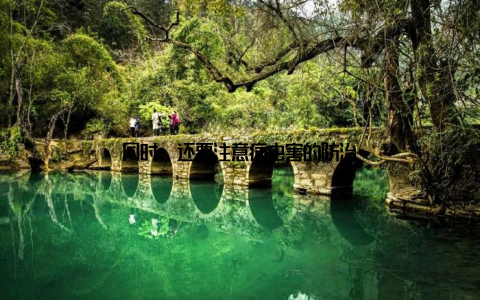 同时, 还要注意病虫害的防治