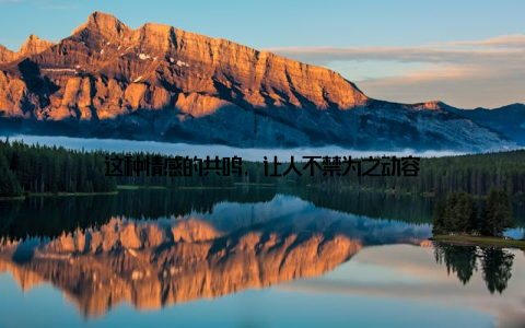 这种情感的共鸣, 让人不禁为之动容