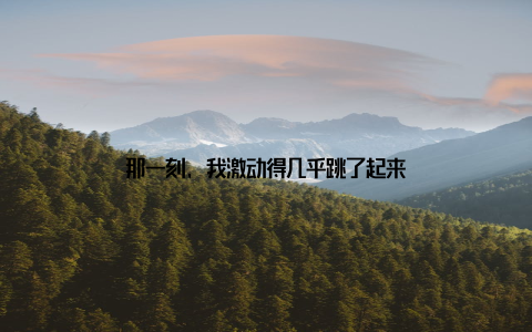 那一刻, 我激动得几乎跳了起来