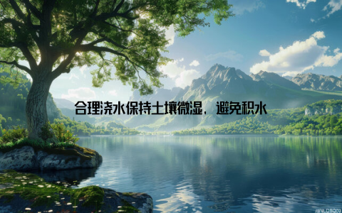 合理浇水保持土壤微湿, 避免积水