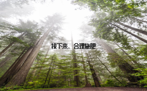 接下来, 合理施肥