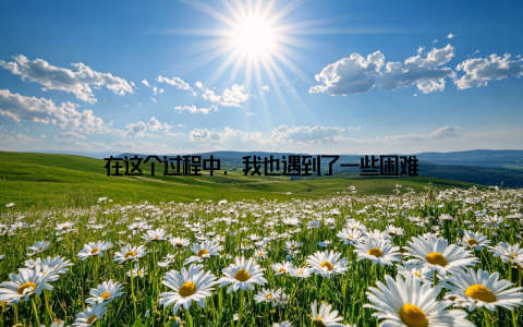 在这个过程中, 我也遇到了一些困难