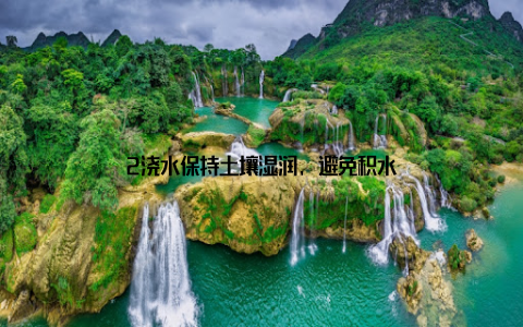 2浇水保持土壤湿润, 避免积水