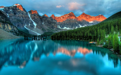 每当看到它, 我都会忍不住笑出声来