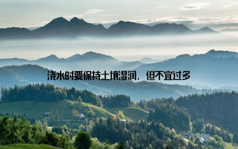 浇水时要保持土壤湿润, 但不宜过多