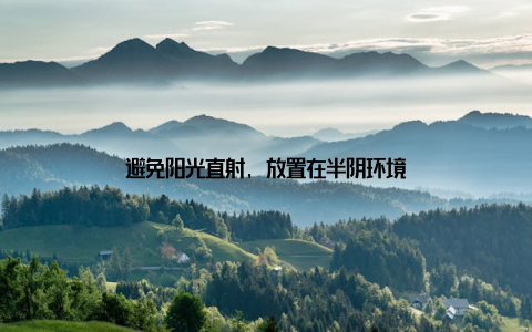 避免阳光直射, 放置在半阴环境