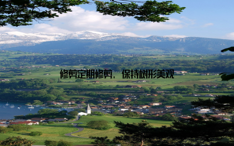 修剪定期修剪, 保持树形美观