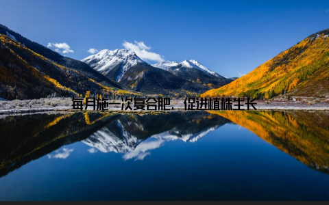 每月施一次复合肥, 促进植株生长