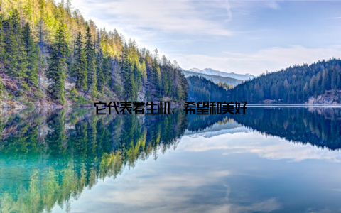 它代表着生机、希望和美好