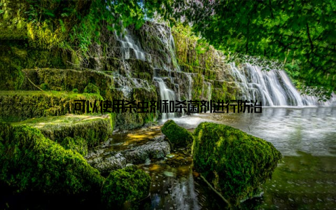 可以使用杀虫剂和杀菌剂进行防治