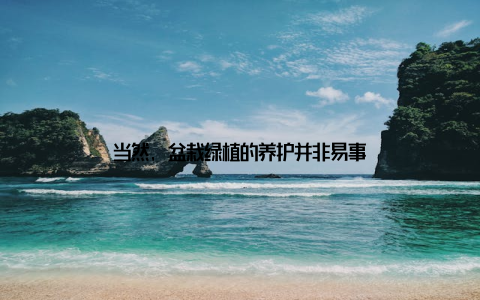 当然, 盆栽绿植的养护并非易事