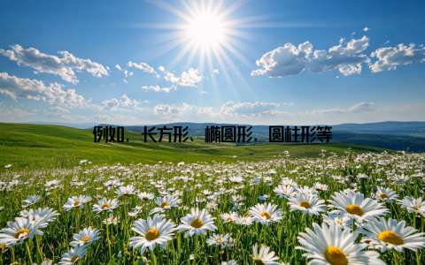 例如, 长方形、椭圆形、圆柱形等