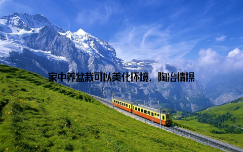 家中养盆栽可以美化环境, 陶冶情操