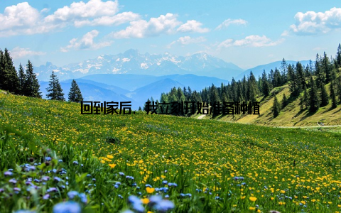 回到家后, 我立刻开始准备种植