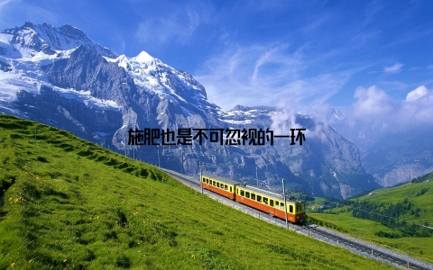 施肥也是不可忽视的一环