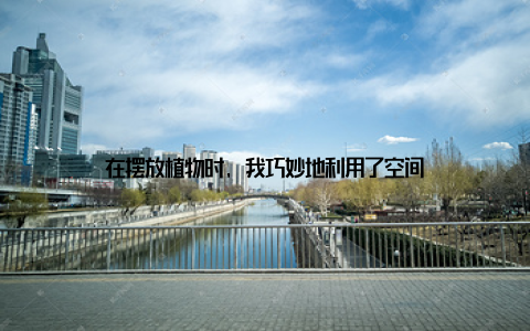 在摆放植物时, 我巧妙地利用了空间