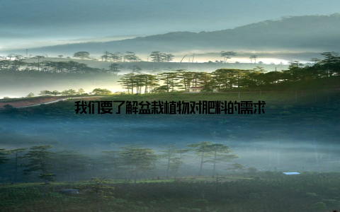 我们要了解盆栽植物对肥料的需求