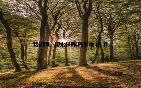 我知道, 浇水是养护植物的关键