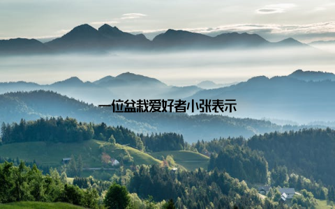 一位盆栽爱好者小张表示