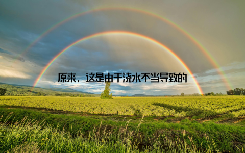 原来, 这是由于浇水不当导致的