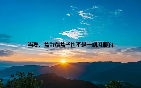 当然, 盆栽覆盆子也不是一帆风顺的