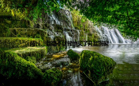 所以, 我毫不犹豫地买了几盆回家