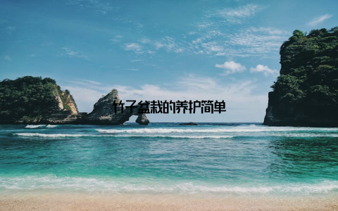 竹子盆栽的养护简单