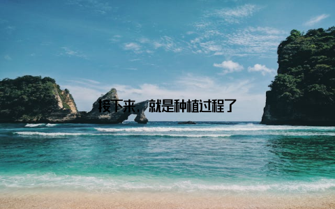 接下来, 就是种植过程了