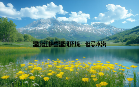 湿度红梅喜湿润环境, 但忌水涝