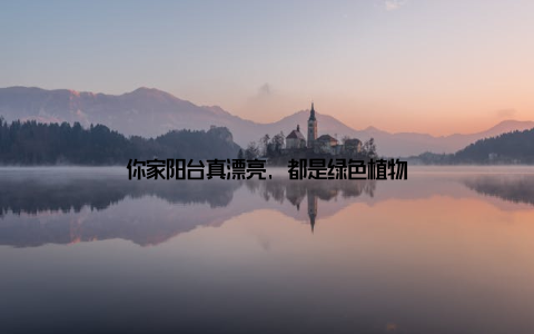 你家阳台真漂亮, 都是绿色植物