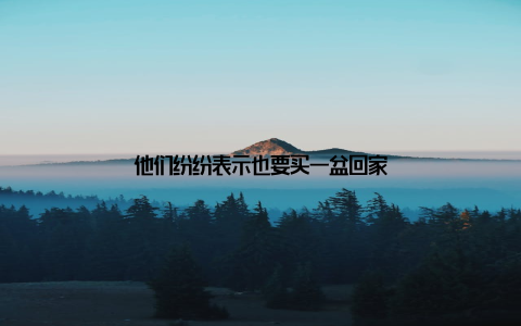 他们纷纷表示也要买一盆回家