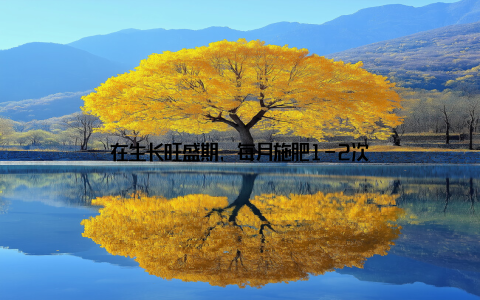 在生长旺盛期, 每月施肥1-2次