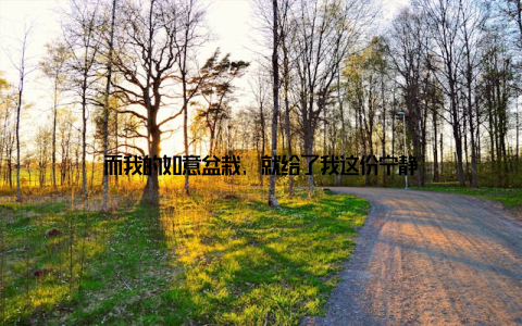 而我的如意盆栽, 就给了我这份宁静