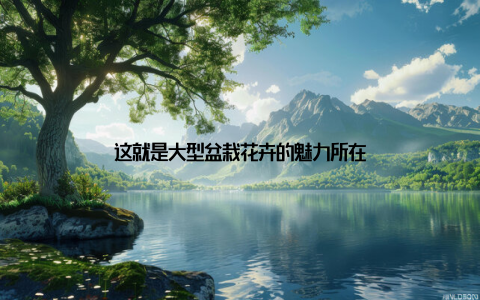 这就是大型盆栽花卉的魅力所在