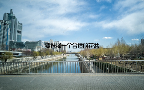 要选择一个合适的花盆