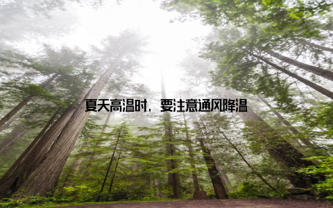 夏天高温时, 要注意通风降温