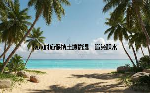 浇水时应保持土壤微湿, 避免积水