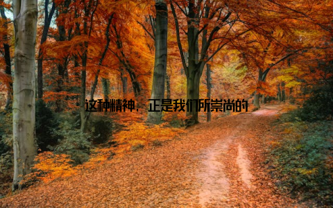 这种精神, 正是我们所崇尚的