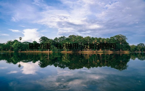 施肥方面, 每月施用一次复合肥即可