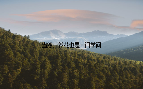 当然, 养花也是一门学问