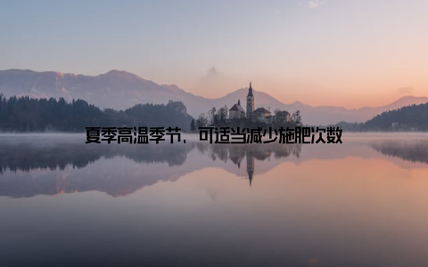 夏季高温季节, 可适当减少施肥次数