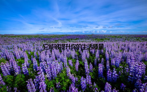 它能够提升你的生活质量