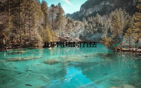 我忍不住被吸引了过去