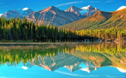 它的魅力在于那份独特的个性