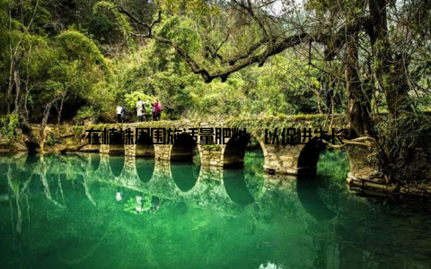在植株周围施适量肥料, 以促进生长