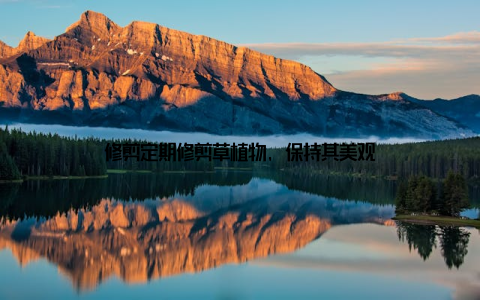 修剪定期修剪草植物, 保持其美观