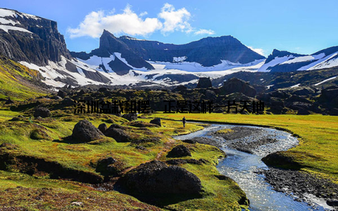 深圳盆栽租摆, 正是这样一片天地
