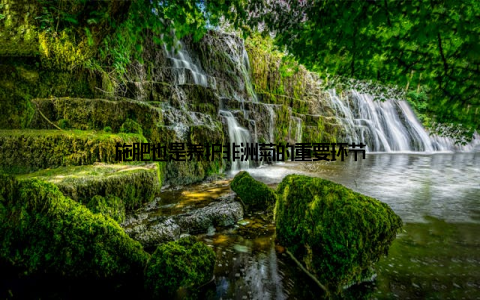 施肥也是养护非洲菊的重要环节